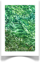 daniel pavon cuellar masterpieces